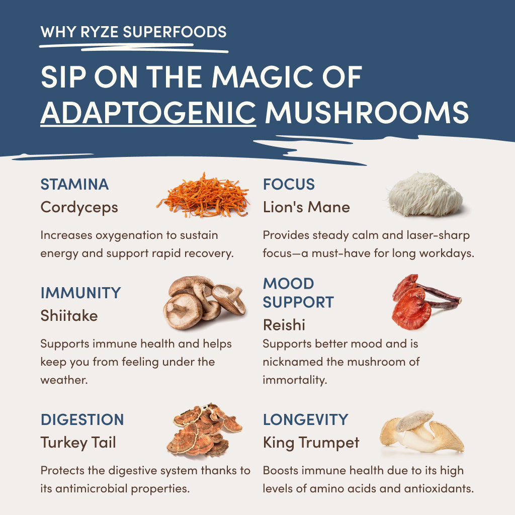 RYZE Nighttime Mushroom Cocoa Starter Bag - Daily Carry