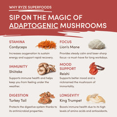 RYZE Mushroom Chai Starter Bag - Easy Store