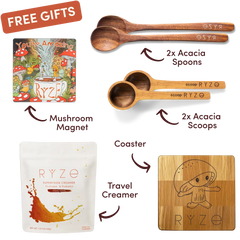 Cocoa Free Gift Bundle - Essential Set