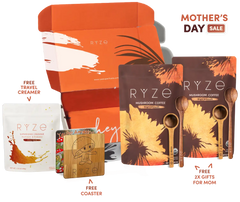 Chai Free Gift Bundle - Classic Pick