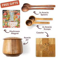 Cocoa Free Gift Bundle - Essential Set