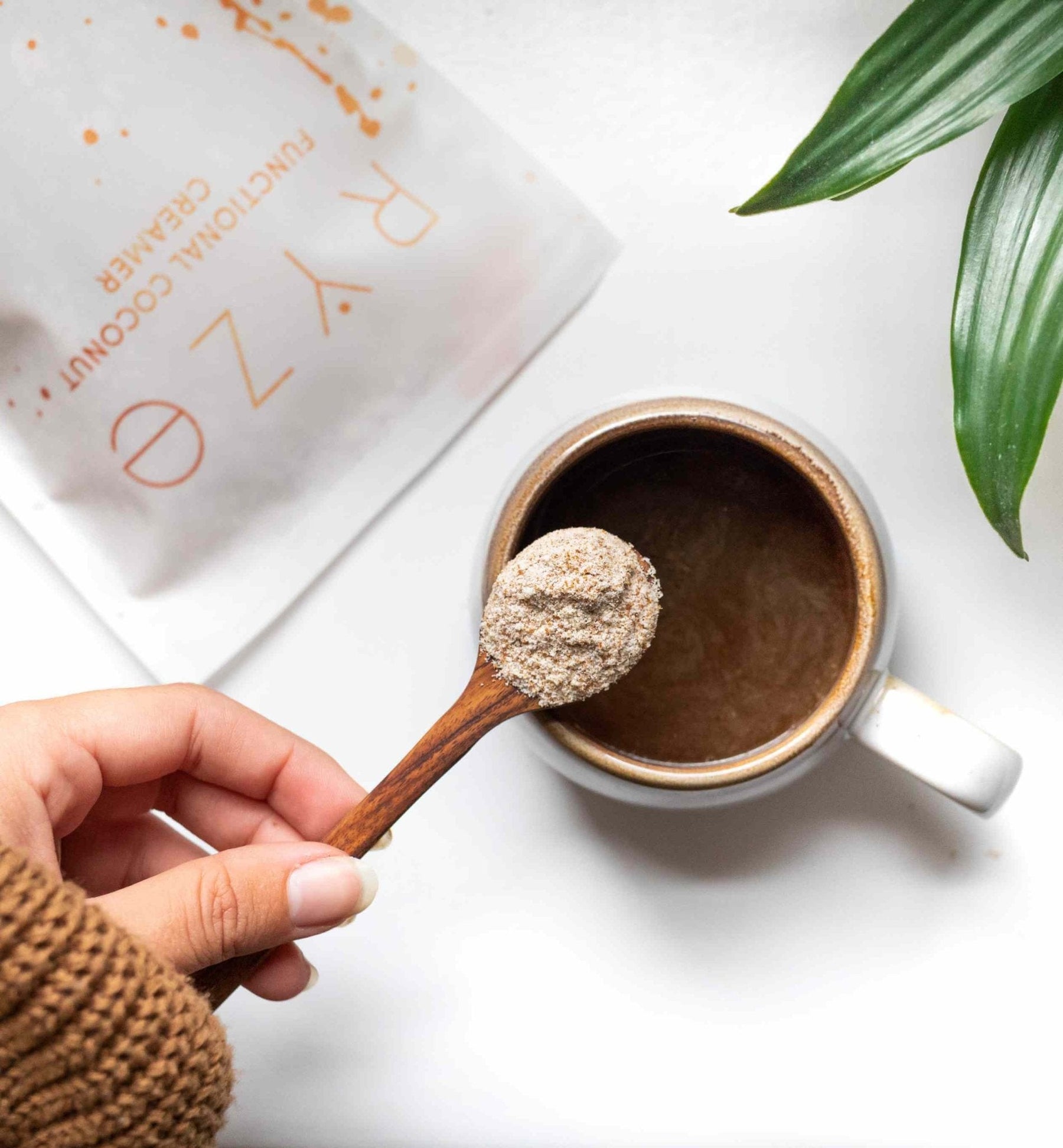 Probiotic Creamer (SPECIAL PRICING) - Fresh Ready
