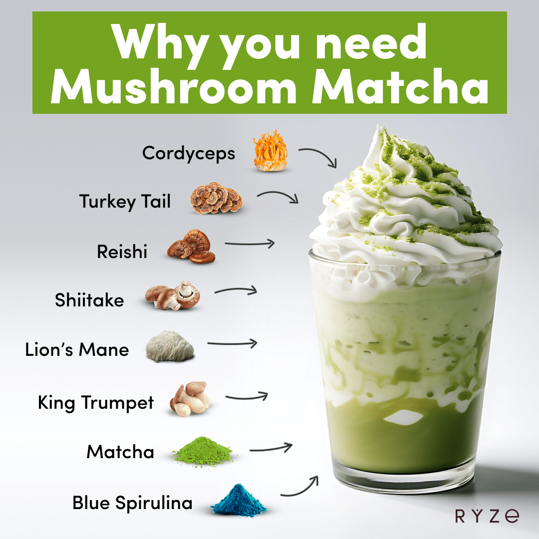RYZE Matcha - with 6 Organic Adaptogenic Mushrooms Grown In USA and Ceremonial-Grade Japanese Matcha - Easy Set
